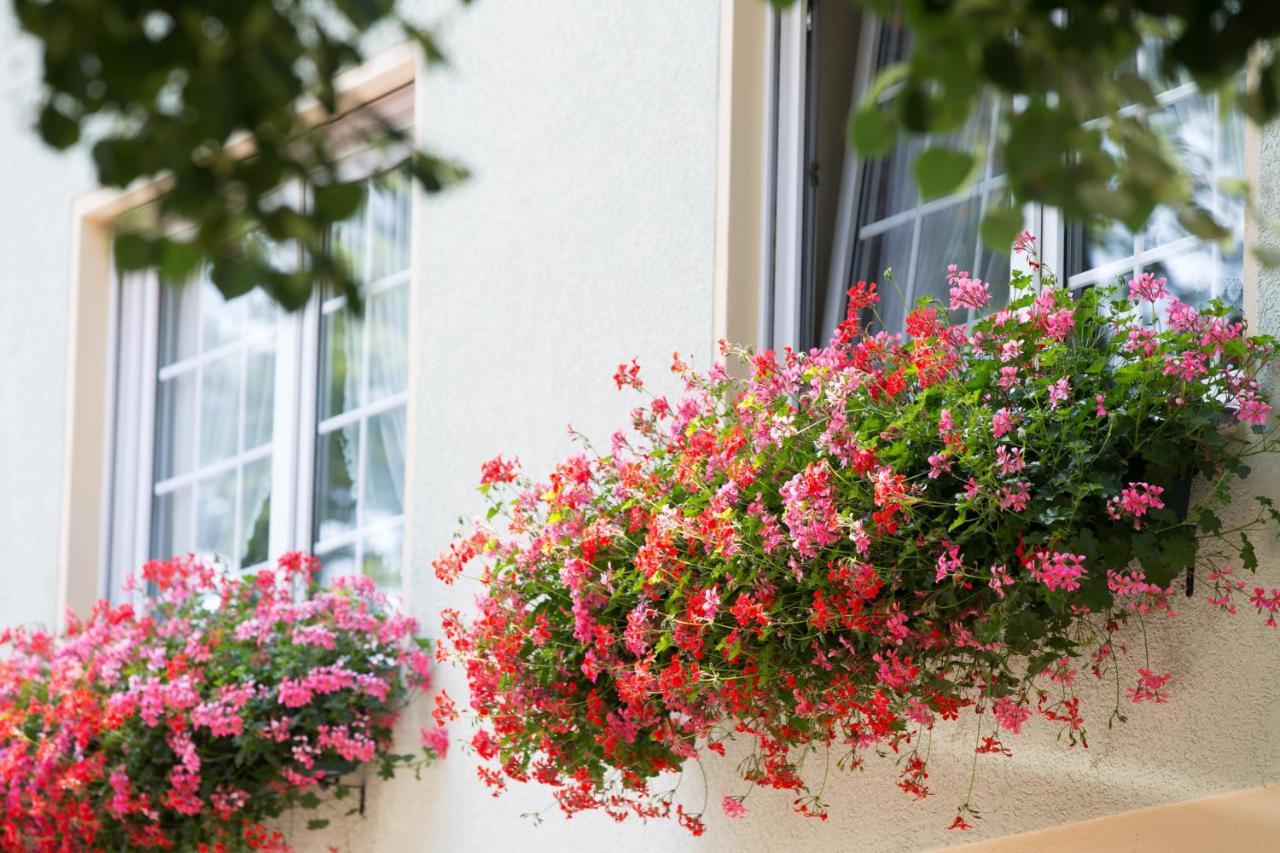 Hotel & Gasthaus Zum Eichenkranz Luckenwalde Εξωτερικό φωτογραφία